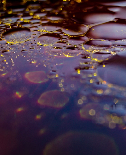 petróleo en el fondo de un estanque petróleo en el fondo de un estanque